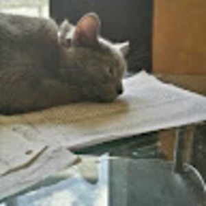 Meet your Posher, Ken